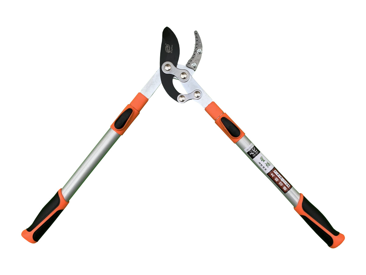 Tree Cutter Price Pruning Tools Telescopic Tree Ratchet Lopper Pruner Extending Garden t ...