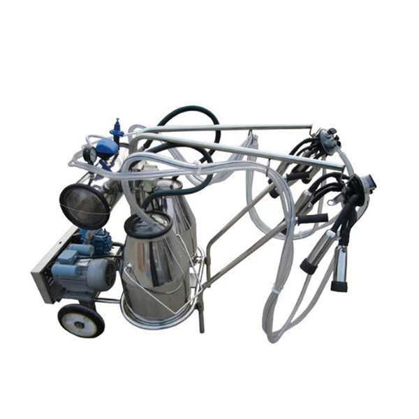 China Cow milking machine Double Bucket Double Cluster