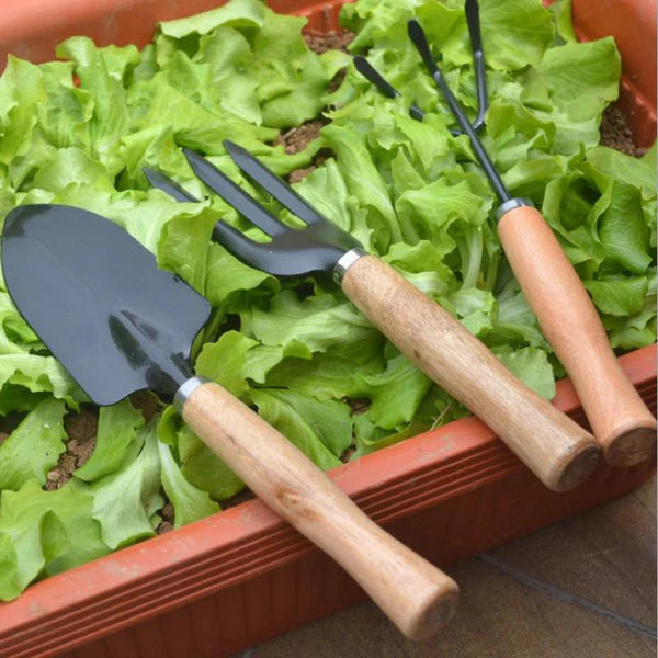Garden Tool Set | 3pcs Mini Garden Sets Mini Shovel Rake Bonsai Tools Set Wooden Handle Metal Head For Flowers Potted Plant